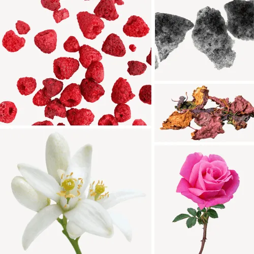 Duftnoten: Himbeere, Moschus, Rose, Patschuli, Neroli